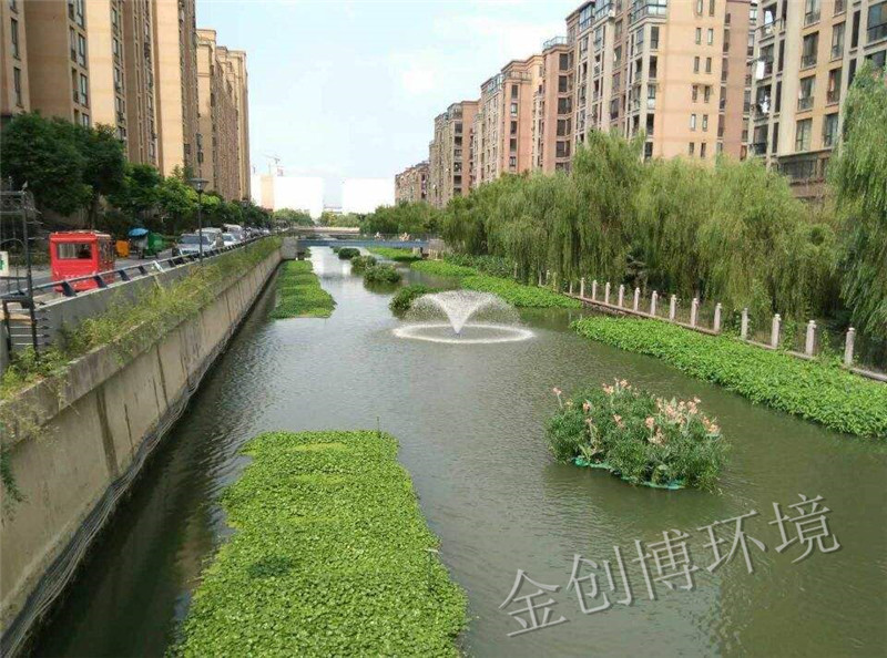 植物浮岛.jpg