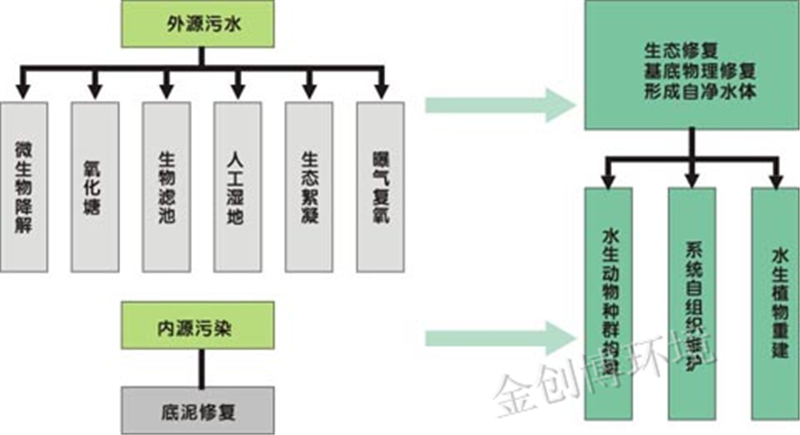 生态修复常规流程.png