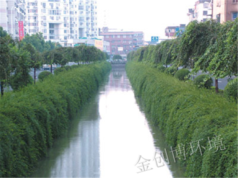 水体修复前后对比